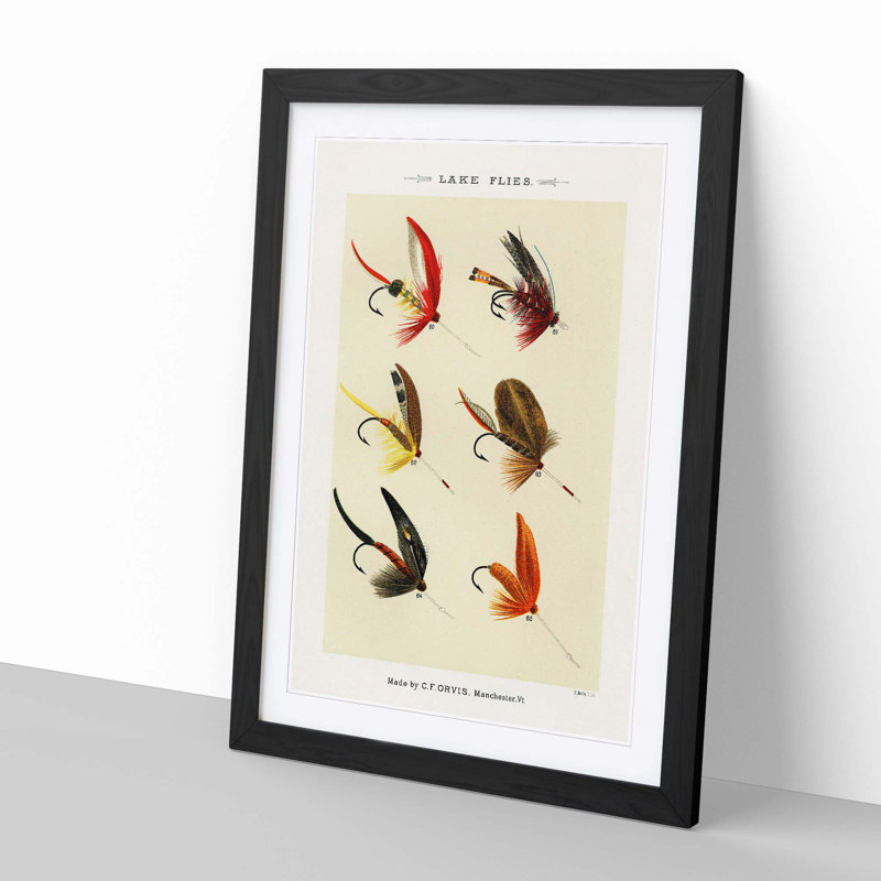 Lake Fishing Flies Version 8 by Mary Orvis Marbury - Picture Frame Painting Print, 50cm H x 35cm W x 2cm D, Black