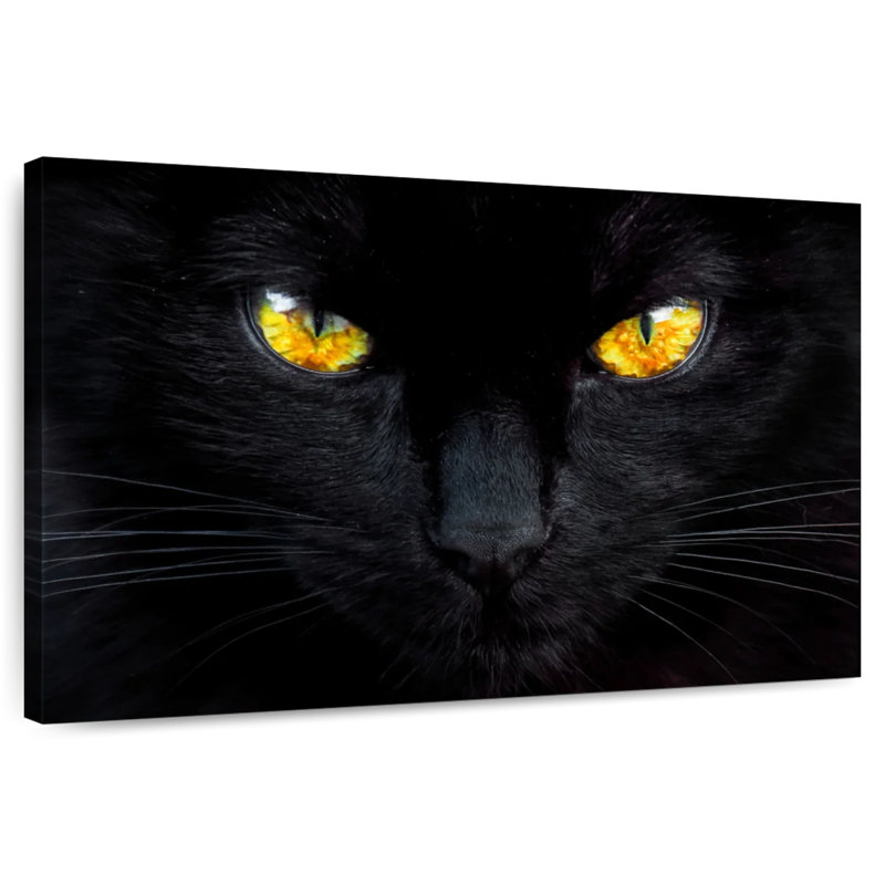 L'hypnotiseur de la nuit, H 16 po x l 24 po