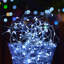LED Indoor / Outdoor String Lights-604997390-604997387