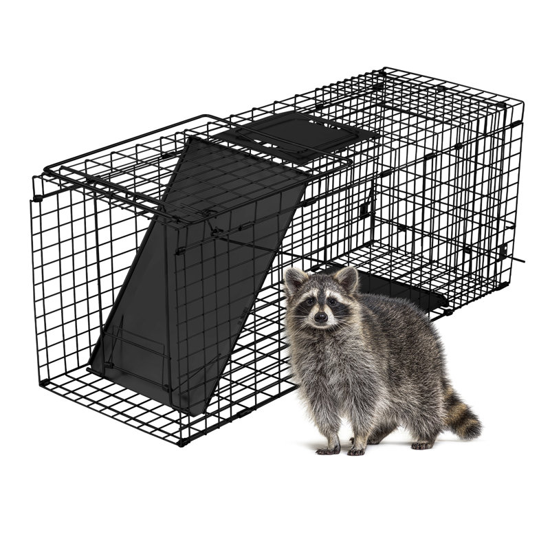 32" Black Foldable Animal Trap With Front Baffle, Black