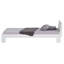 Single European Single (90 x 200cm) Futon Bed