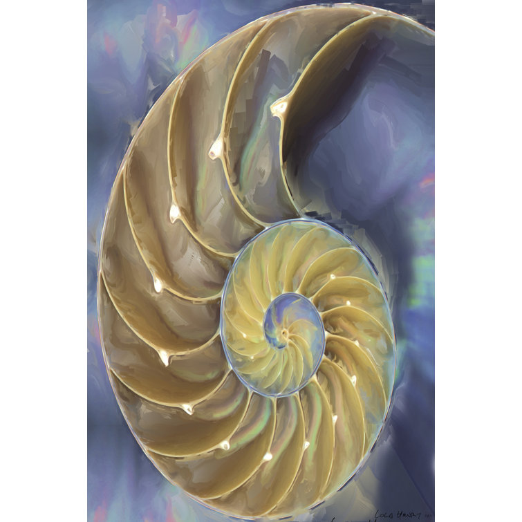 Shell Extraction II