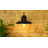 12" Barn Outdoor Wall Light with Seeded Glass Shade 