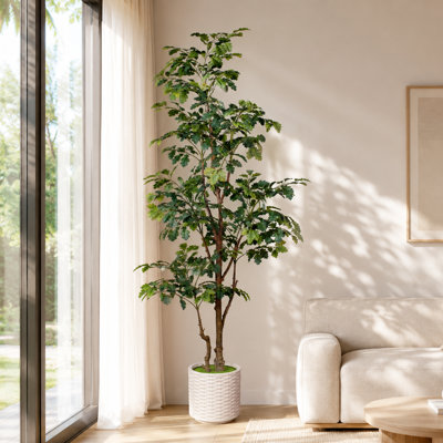 Chêne artificiel de 6 pi en pot de fleurs tissé blanc, faux arbre d'intérieur avec des feuilles vertes réalistes pour le salon, le vestibule, le bureau