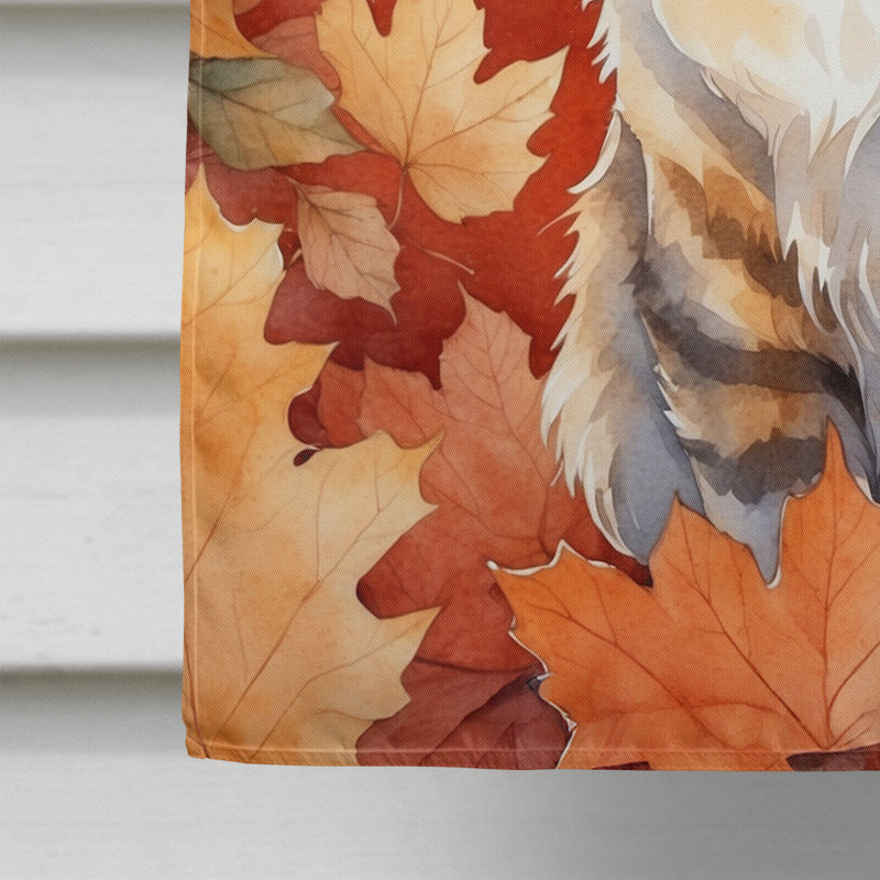 Chat en feuilles d'automne, Chantilly Tiffany