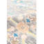 Oriental Area Rug in Silver