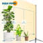 Naomi Grow Light