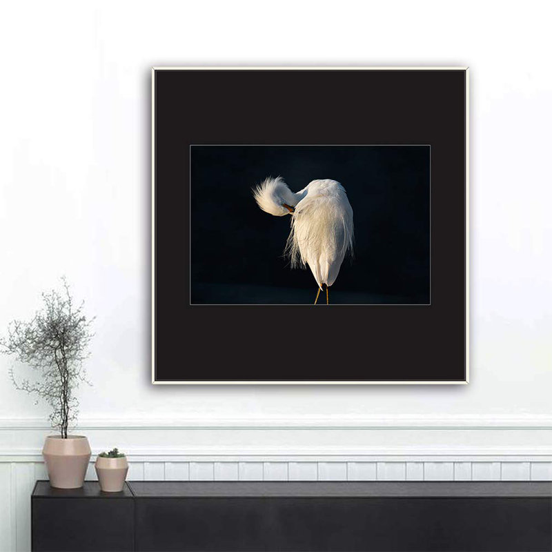 " H02 A Bird Standing ", White, 24" H x 24" W
