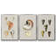 Coquillages antiques sur lin, ensemble de 3 toiles tendues encadrées de qualité supérieure-97759615-97759610