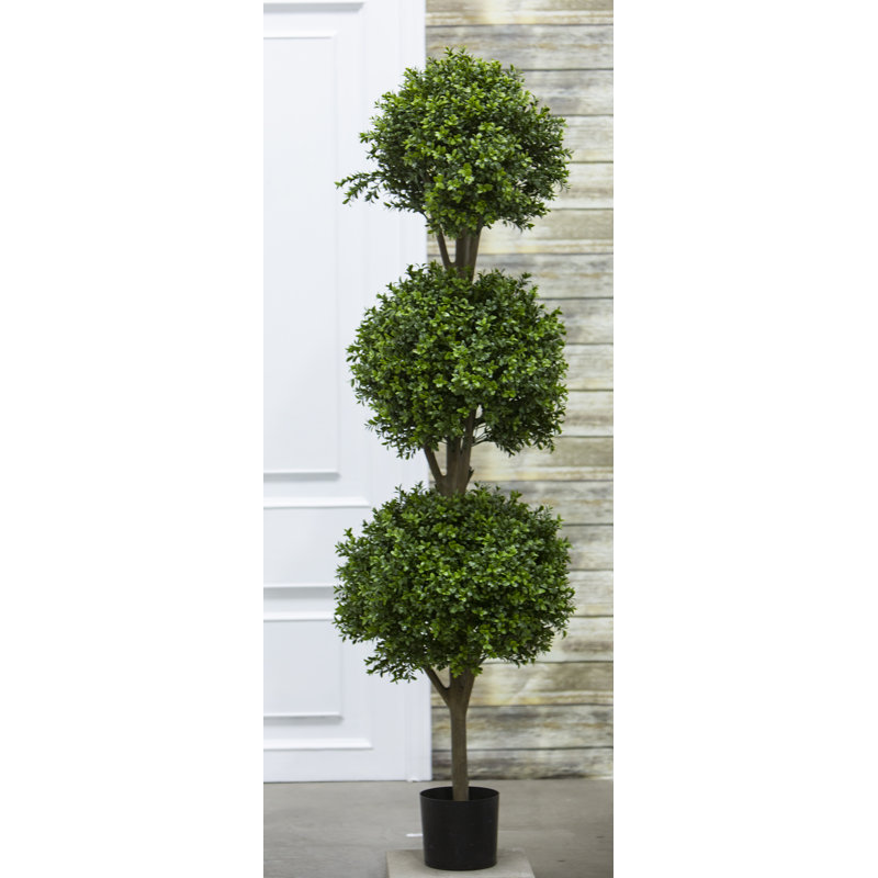 Boule topiaire en pot, H 60 po