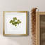 «Pressed Clover I», reproduction encadrée de qualité supérieure - prête à être accrochée-960426218-960426773