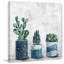 «Succulent Frost», reproduction sur toile tendue-1064054335