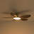 51" Dimmable Modern Vintage Gold & Walnut 5-Blade LED Ceiling Fan with Remote Control