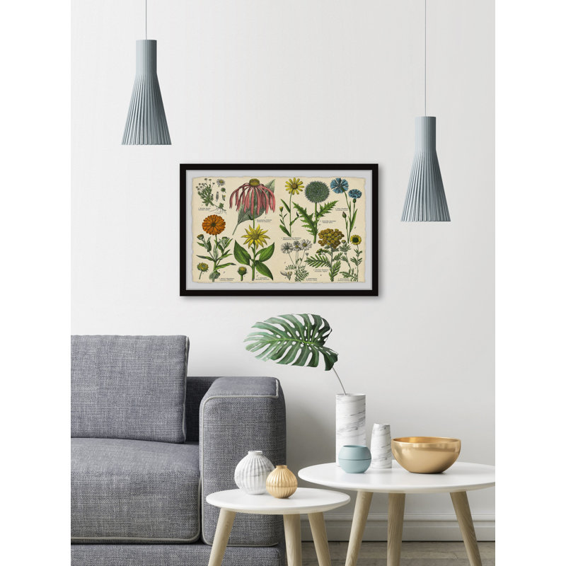 Southern Globethistle - Single Picture Frame Painting, 38cm H x 45cm W x 3.81cm D