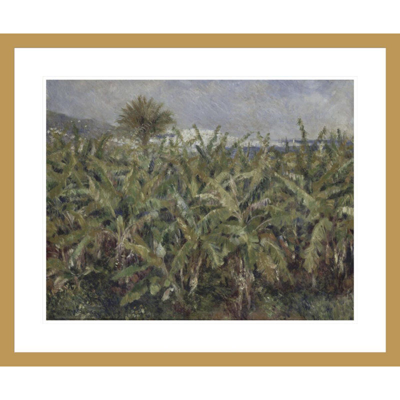 Champ de bananiers - Pierre-Auguste Renoir - Impression giclée sur cadre, H 23,5 po x l 28,26 po