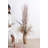 Aquin 17'' Pampas Grass Plant