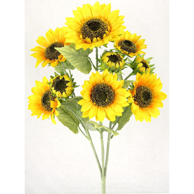 Tige de tournesol pleine floraison
