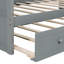 Canopy Day Bed With Trundle-1103602786