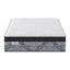 Passions Kelbrooke 16" Ultra Plush Euro Pillowtop Hybrid Mattress-60922951
