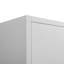 Armoire de rangement, classeur à 2 portes avec serrure, 4 tablettes réglables pour le bureau et la maison-1512077415