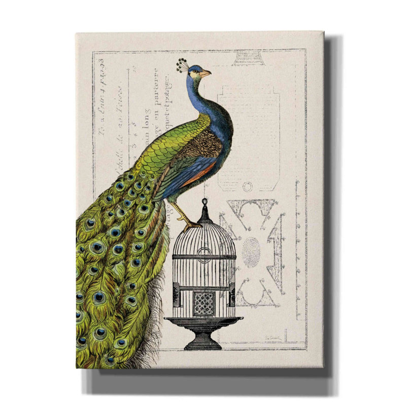 «Peacock Birdcage I» par Sue Schlabach, estampe numérique sur toile, L 40 po x H 54 po