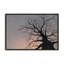 «Gnarled Tree I» par Michael Willett, reproduction d'art-1595130699-1595130701-1595130697