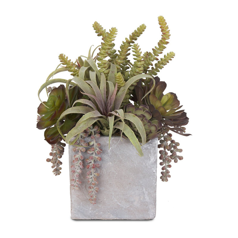 Faux Succulent in Stone Pot