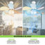 Ventilateur de plafond 31 po avec haut-parleur à télécommande Bluetooth Bluetooth, pales réversibles à minuterie à 6 vitesses Abilene à intensité variable pour patio et chambre à coucher-2042994635-2042994634