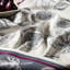 Ensemble de 2 serviettes de cuisine en jacquard tissé à plat de la collection Kitchenaid-136424072