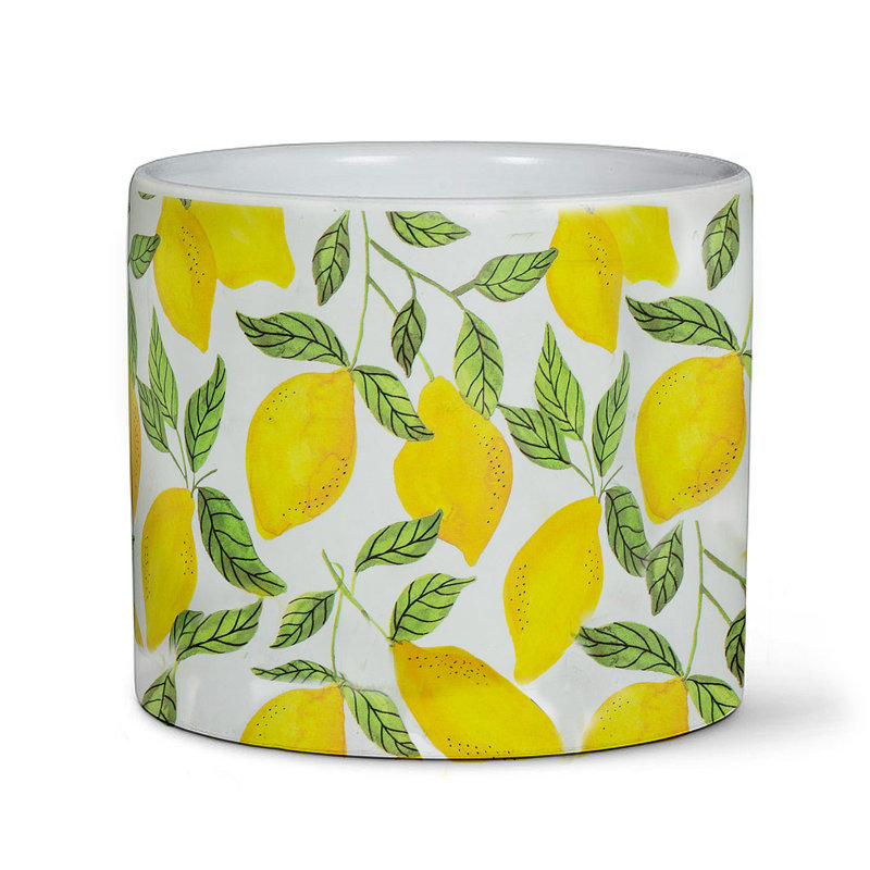 Vavra Ceramic Cachepot