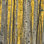 Aspen Trees III Print by Jamie Cook