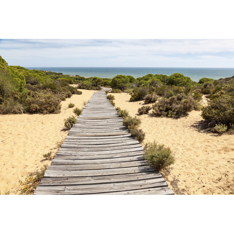 Wooden Walkway - Wrapped Canvas Print, 81cm H x 122cm W