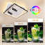 LED Spotlight