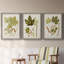 Feuilles antiques IV - ensemble de 3 peintures sur toile encadrées-1306045712-1306045715