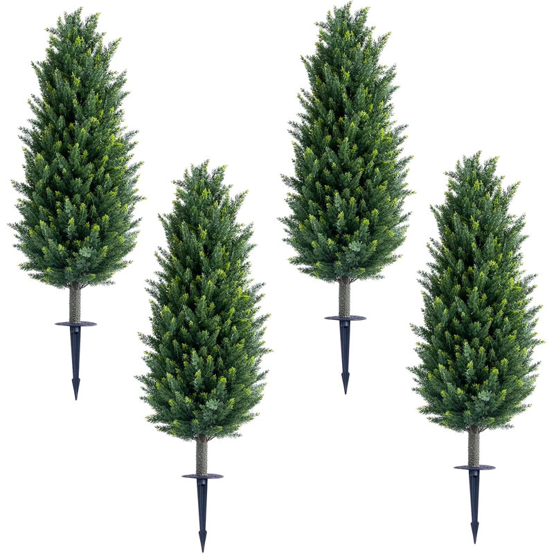 Plant, 4