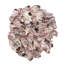 Barnacle Cluster Wall Art, LG