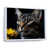 Cadre flottant blanc