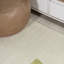 Tapis crème / mousse Ashaunti-416985205