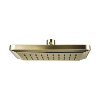 Pomme de douche fixe Rain