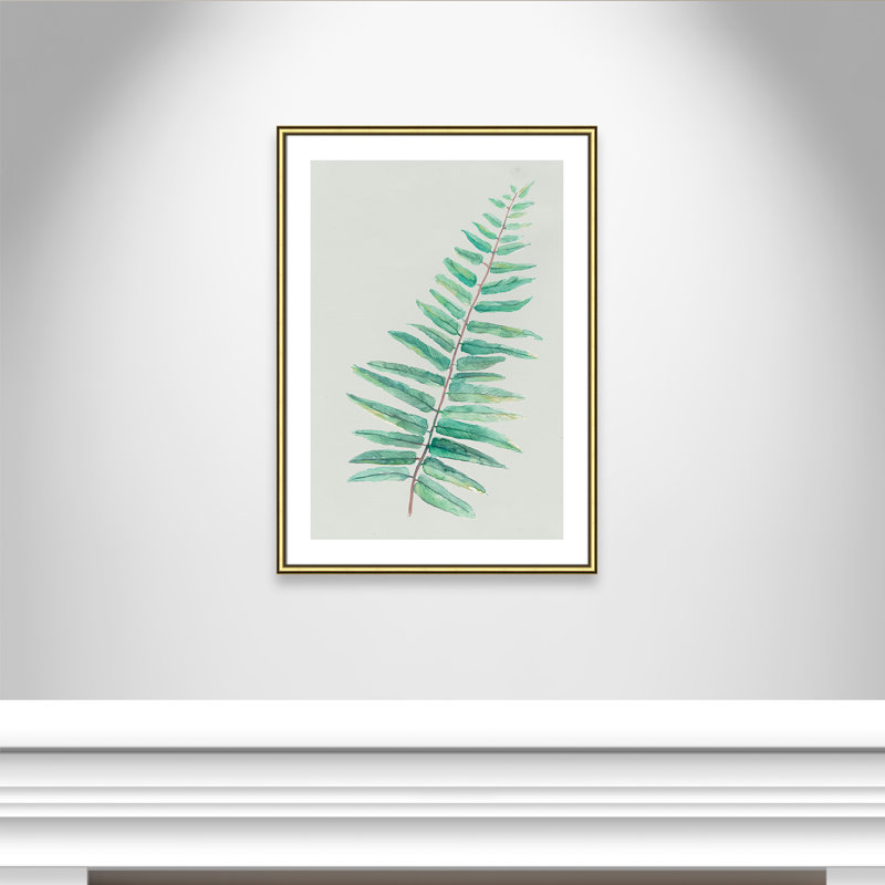 «Delicate Botanical I», reproduction sur papier encadrée, Cadre doré, H 35,5 po x l 25,5 po x P 0,875 po