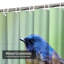 Rideau de douche avec 12 crochets-1538202453