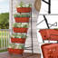 Jardinière verticale surélevée à 5 niveaux-464399671