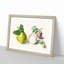 Pear & Plum by E.G. Van De Kasteele - Picture Frame Painting Print-55739213-55739212