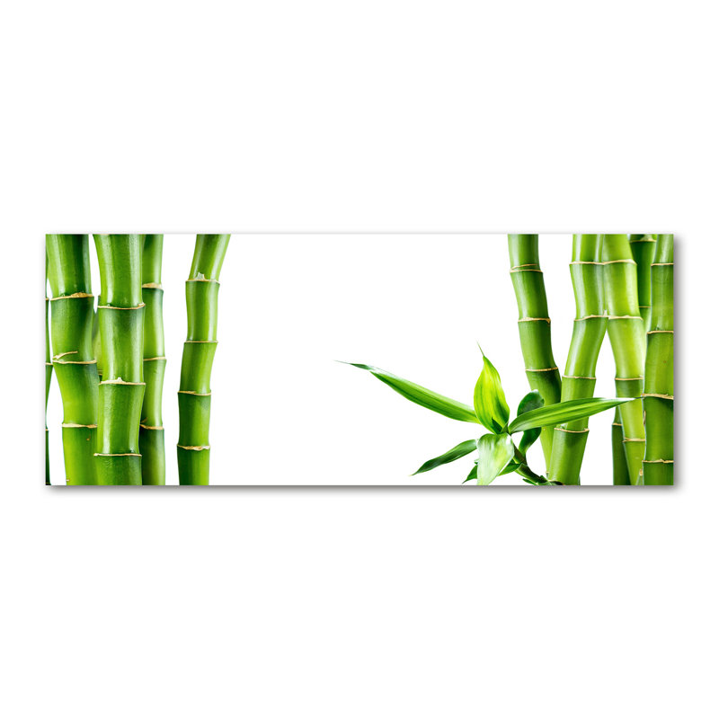 Bamboo - No Frame Print on Canvas
