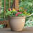 17.5" Kittredge With Wheels, Beige, 2-pack
