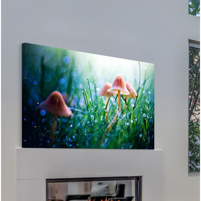 « fairytopia » par sylvia cook-reproduction de photo sur toile tendue