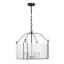 Hubbs 4 lumières Ashlay en noir mat-1701114450