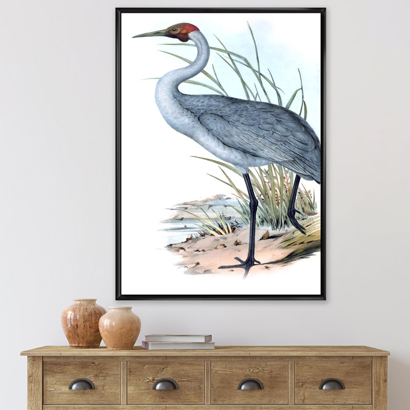 «Vintage Australian Birds V», impression sur toile, H 32 po x l 16 po x P 1 po, Cadre noir