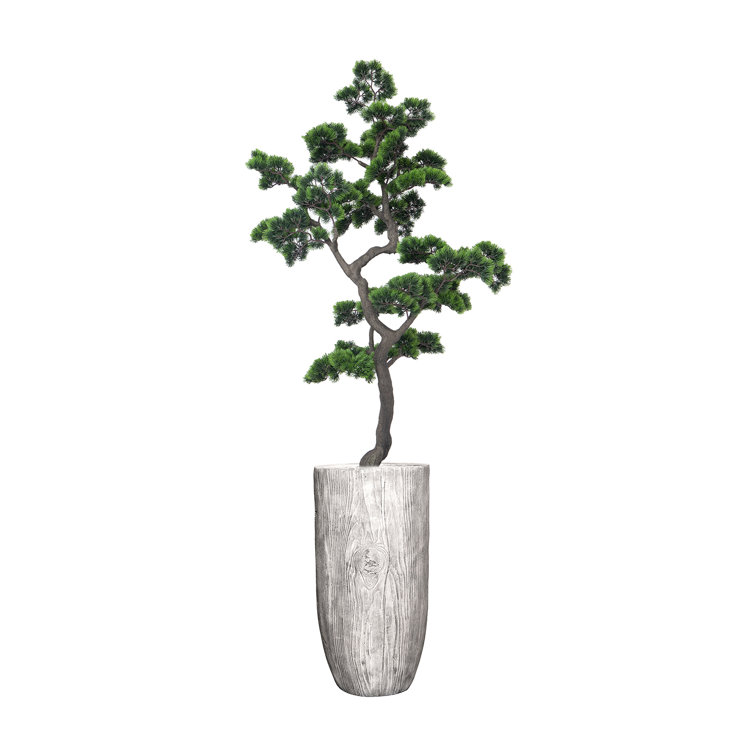 75" Artificial Faux Bonsai Tree In A White Wooden Coloured Planter