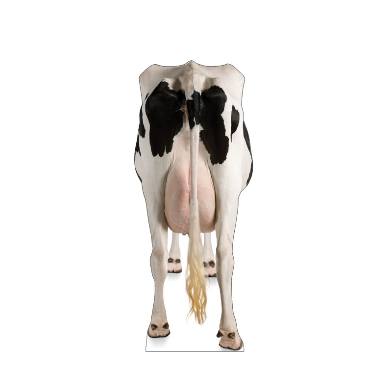 Life-Size Black and White Cow Rear Cardboard Standup